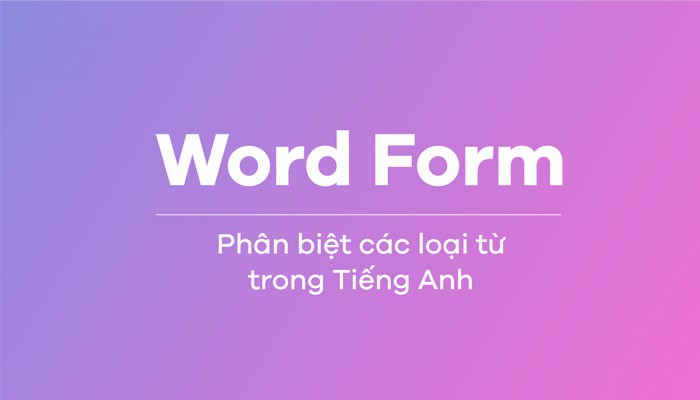 Word form là gì? Bật mí cách làm Word Form hiệu quả