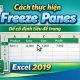 Cách thực hiện Freeze Panes để cố định tiêu đề trong Excel 2019 1