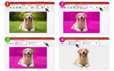 Cách xóa nền (Remove Background) trong PowerPoint 2016