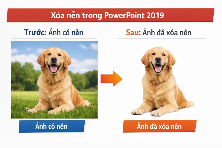 Cách xóa nền (Remove Background) trong PowerPoint 2019 đơn giản mà hiệu quả 7 Cách xóa nền (Remove Background) trong PowerPoint 2019 đơn giản mà hiệu quả 7