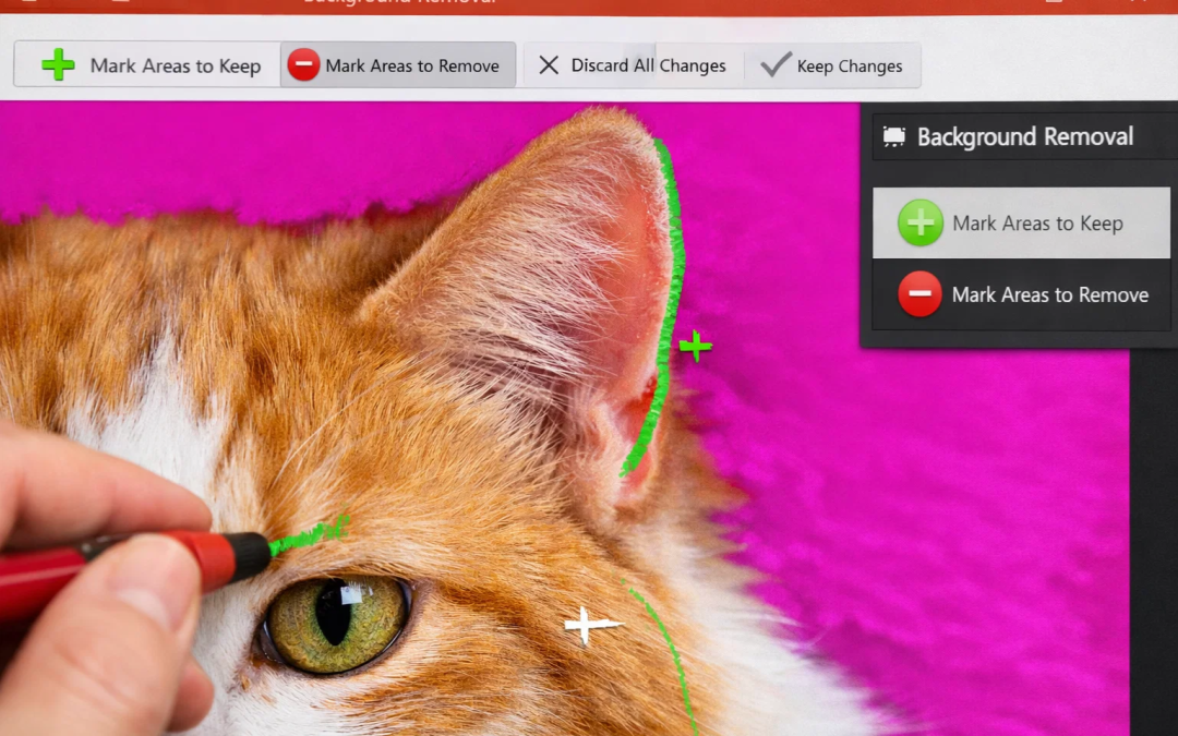 Cách xóa nền (Remove Background) trong PowerPoint 365