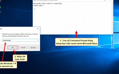 Hướng dẫn chi tiết sửa lỗi Microsoft Store không tải được trên Windows 10