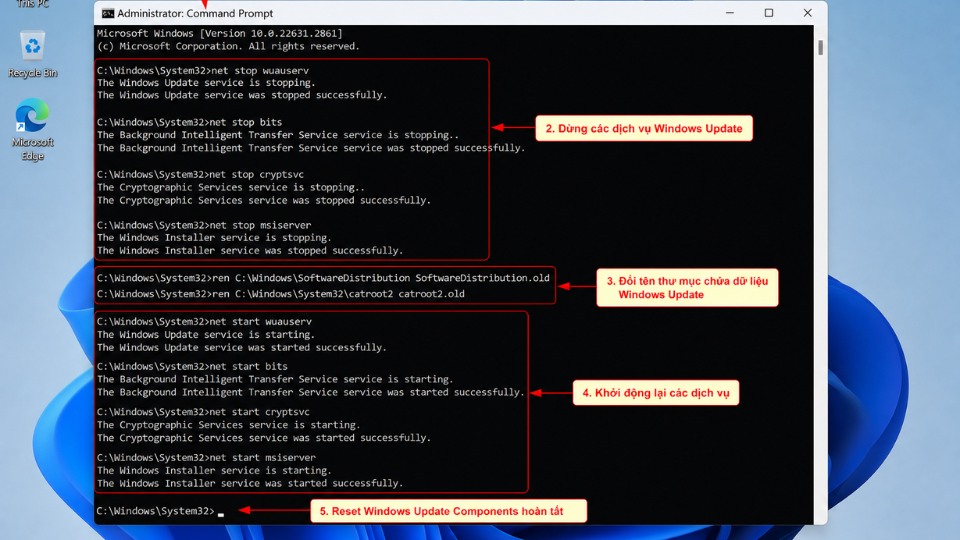 Hướng dẫn chi tiết sửa lỗi Windows Update 0x80070020 trên Windows 11 5