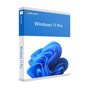 Phần mềm Win 11 Pro EDS Online Retail